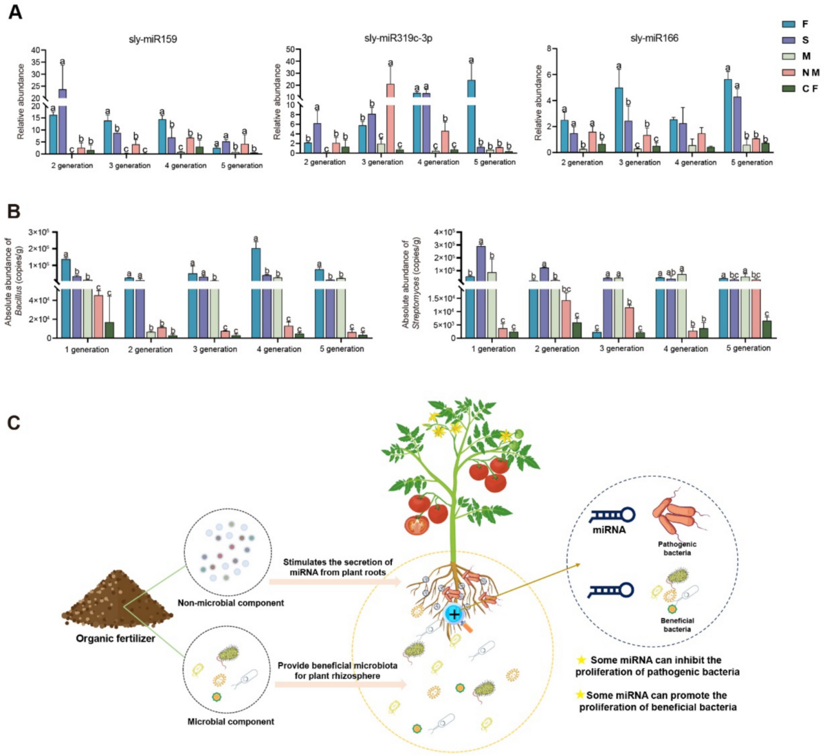 Liu et al. 2025 图7：有机肥促进番茄根系 miRNA 分泌并影响根际有益菌和青枯菌