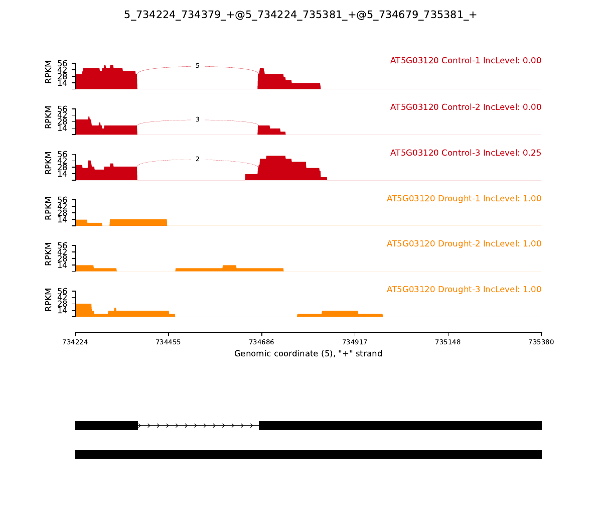 第 9 篇 - RNA-seq 最佳实践系列