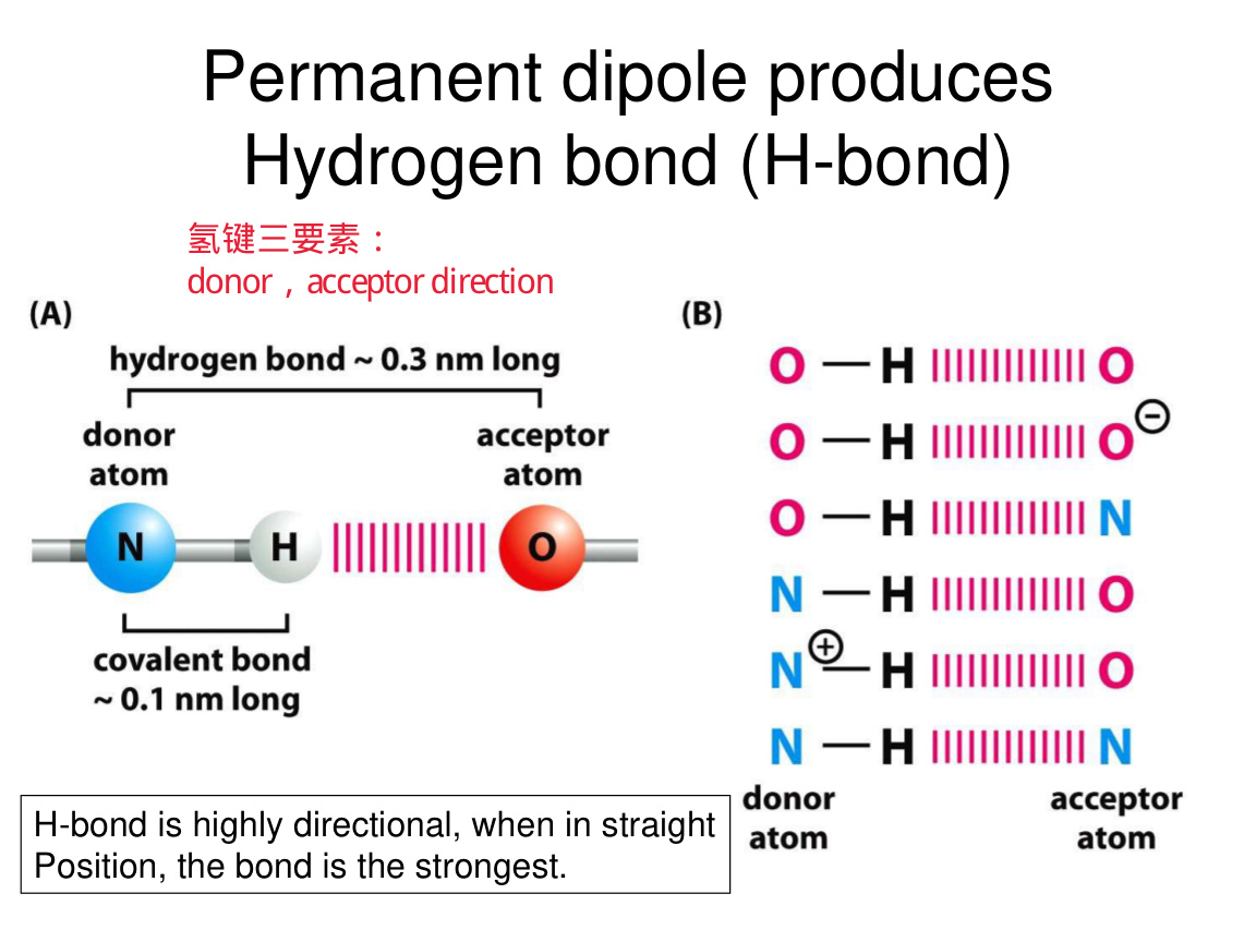 Water and hydrogen bonding