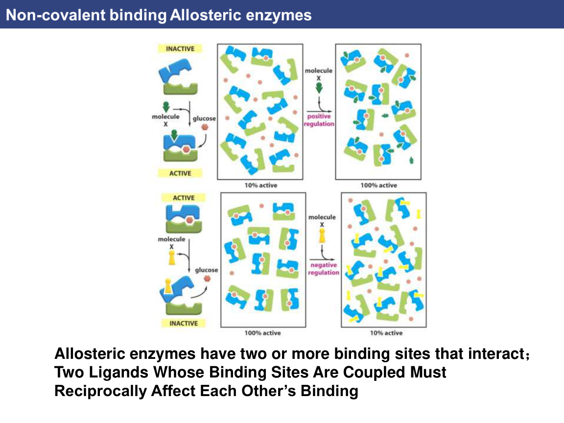 Protein regulation and molecular switches