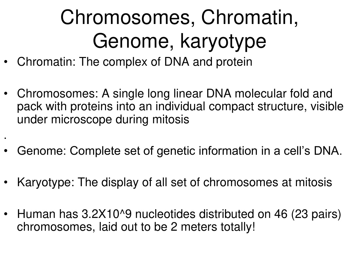 Chromatin, chromosome, genome and karyotype