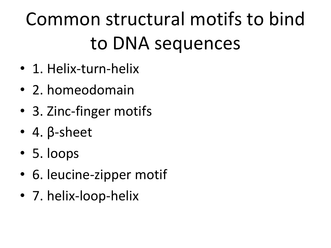 DNA-binding motifs in regulatory proteins